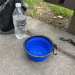 Tigela dobrável de viagem 450 ml para cães e gatos