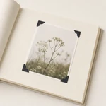 Black photo corners holding a photograph on a cream album page