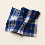 Blue and white plaid fabric arranged in three upright folds