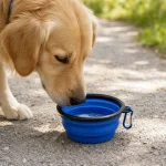 Cão bebendo em uma tigela azul dobrável de viagem, em um caminho ao ar livre