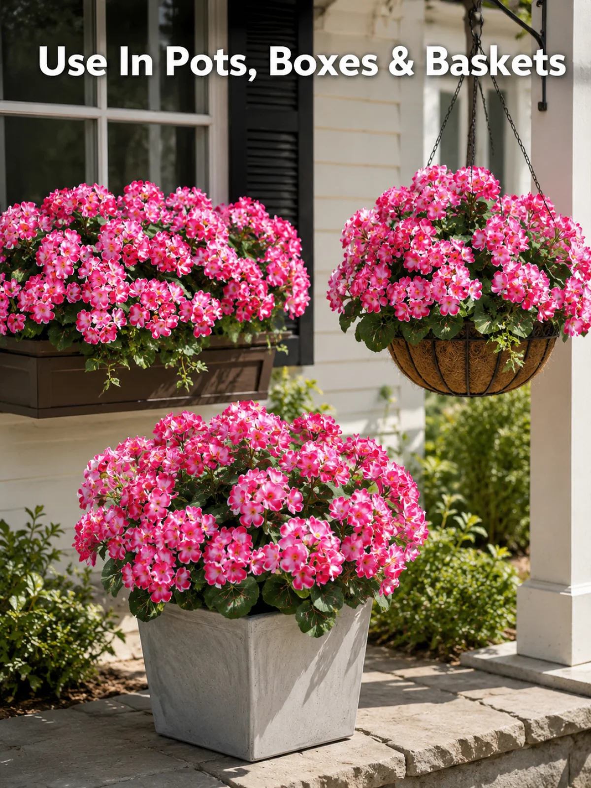 Artificial geranium flowers styled in pots window boxes and baskets
