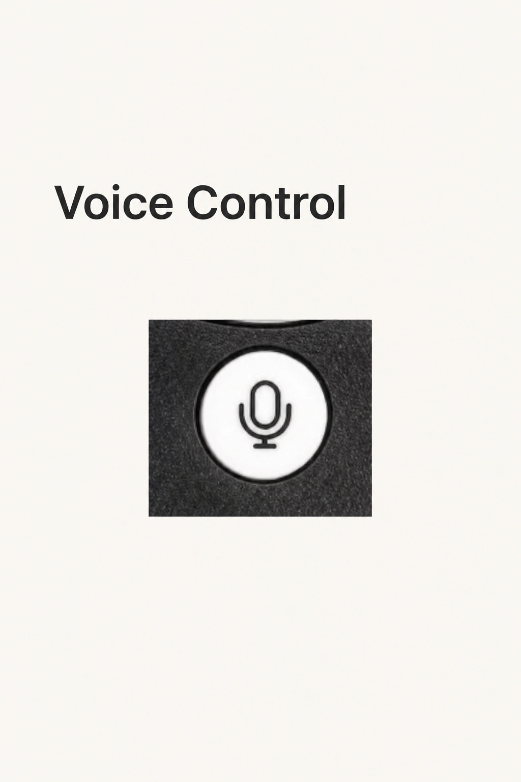 White circular microphone key with its native microphone symbol and a Voice Control heading