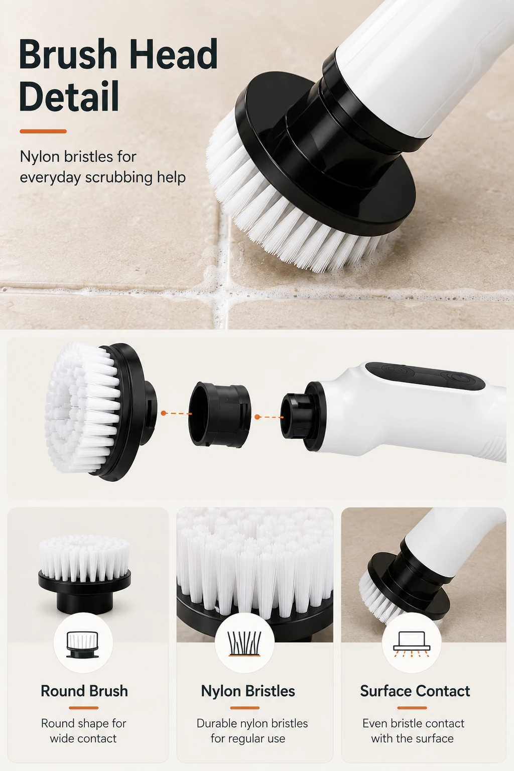 Détail de la tête avec poils nylon ronds pour le brossage quotidien