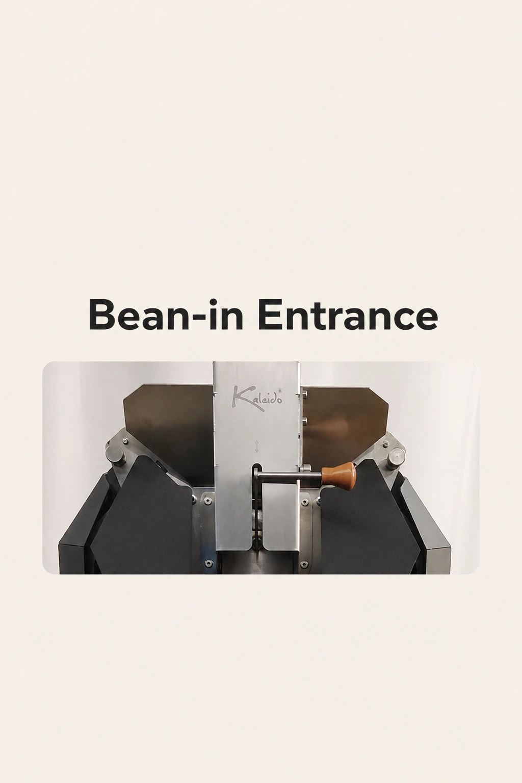 Bean-in entrance detail showing the metal chute plate, brown handle and black shoulders