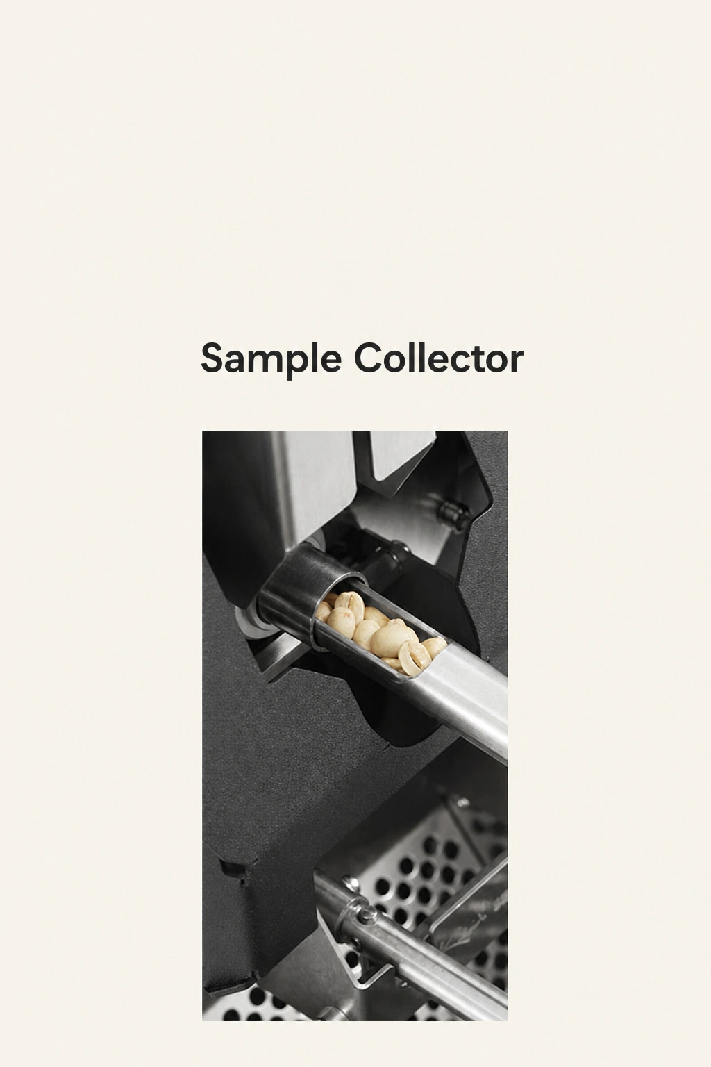 Sample Collector detail showing pale coffee beans in the inserted metal sampling scoop