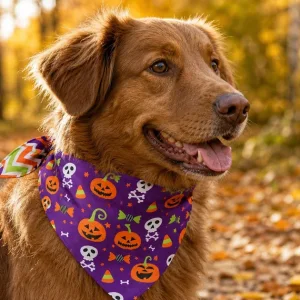 Cómo elegir un pañuelo reversible de Halloween para perro: ajuste y estampados