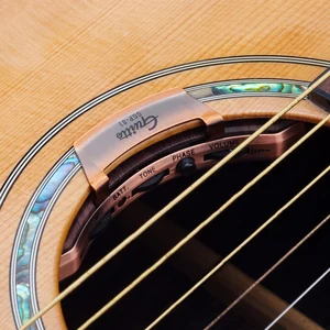Pastilla para guitarra acústica con micrófono: ajuste e instalación